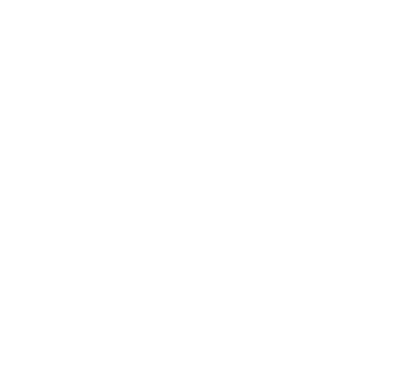 Pronos SLM